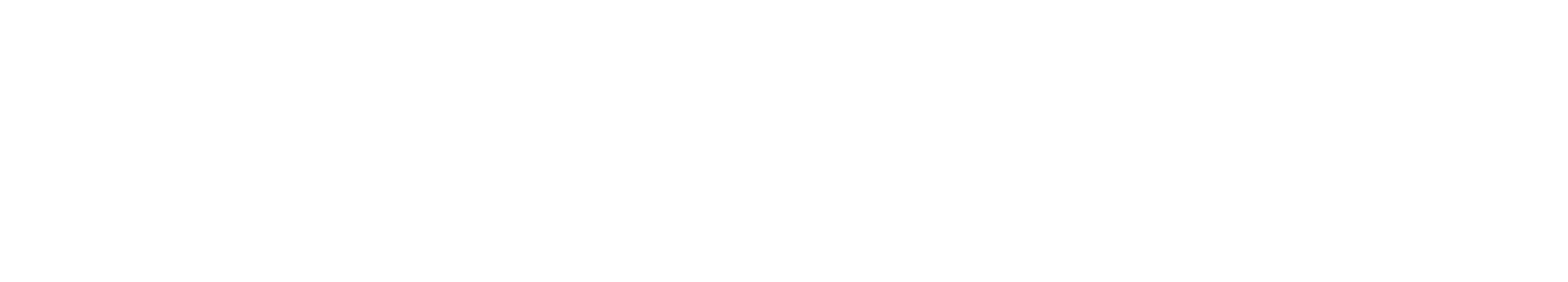 Major E-Wrestling Federation